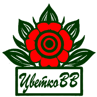 ЦветкоВВ.рф