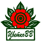 ЦветкоВВ.рф